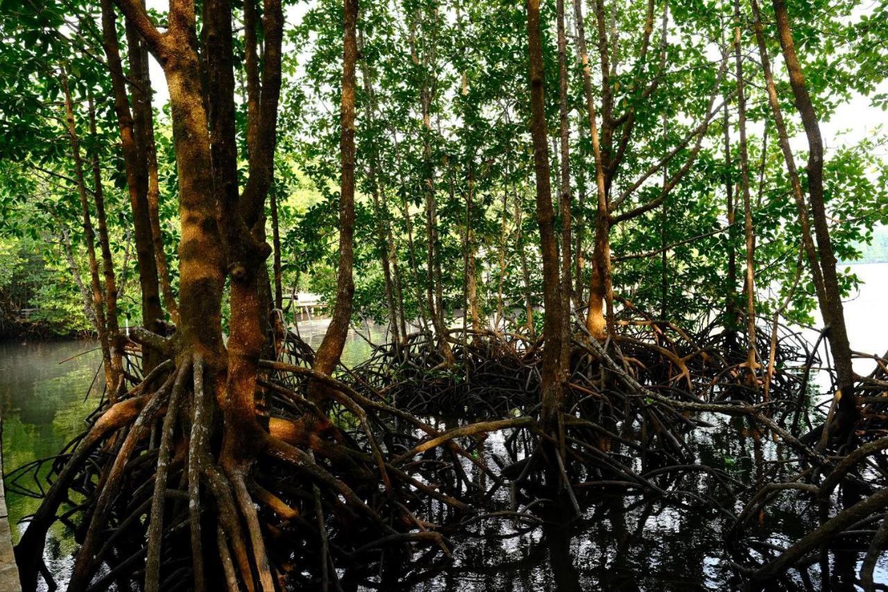 Thansur Tatai Eco Resort Bagian luar foto